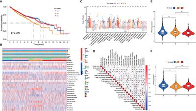 The Prognostic Value of a Tumor Microenvironment-Based Immune Cell Infiltration Score Model in Colon Cancer